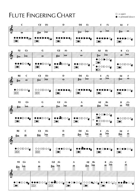 Learn How To Play The Flute, Flute Note Chart, Flute Chords Chart, Songs To Play On Flute, Flute Fingering Chart, Flashcards Free Printable, Flute Lessons, Reading Sheet Music, Flute Sheet Music