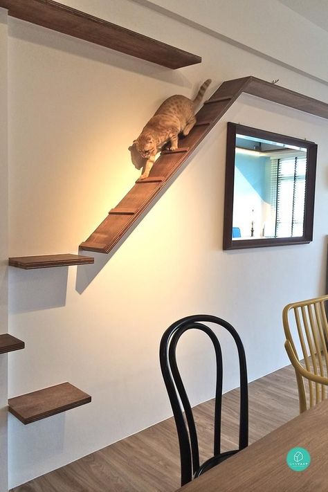 Cat Tree Plans, Cat Room Decor, Diy Design Ideas, Cat Climbing Wall, Chat Diy, Cat Bedroom, Cat Patio, Cat Wall Shelves, Cat Hotel