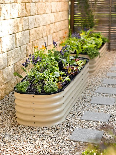 0 Metal Garden Beds, Metal Raised Garden Beds, Trough Planters, Garden Types, Vegetable Garden Design, Raised Bed, Garden Bed, Planting Vegetables, Covent Garden