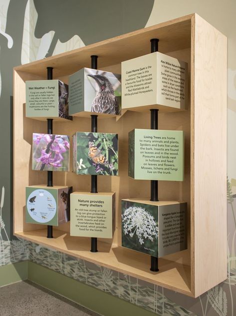 Alex Wilkie Nature Reserve is a beautiful area of remnant bushland in the City of Greater Dandenong. Working with Council’s Conservation Engagement team, we designed and delivered an interpretive display within the Visitor Centre. The display is firmly focussed on education, using interactive elements, illustration and photography to share local biodiversity stories with a wide audience. Pola Jaring, معرض فني, Museum Exhibition Design, Interactive Display, Anna White Diy, Museum Displays, Exhibition Display, 2x4 Furniture Plans, Furniture Plans Free