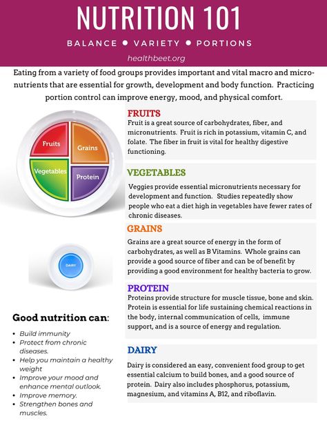 Grab this pdf printable with everything you need to know about nutrition basics, food groups, healthy eating and myplate. #myplate #nutrition #choosemyplate Nutrition Basics Healthy, Healthy Eating Portions, Healthy Food Groups, Daily Nutrition Guide Charts, Nutrition Guide Healthy Eating, What Is Nutrition, Healthy Eating Basics, Proper Nutrition Healthy Eating, Nutrition Group Activities For Adults