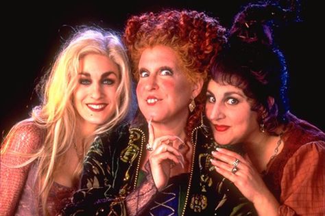 Here's Every Halloween Movie and TV Special Streaming on Disney via TV Guide Try a #NUmedia Trial. numediatvtrial.com #numediaglobal #numediatrial #tvshows #tvseries 31 Nights Of Halloween, Hocus Pocus 1993, Kathy Najimy, Hocus Pocus Movie, Sarah Sanderson, Hocus Pocus 2, Sanderson Sisters Hocus Pocus, Bette Midler, Sanderson Sisters