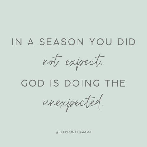 🙌🙌🙌 Let's pray, mama🙏 God, thank you for your providence and plans for us. We trust that you are working all things for your good, and that your will is always better than our man-made plans. Help us to trust you step by step, and deepen our faith through this unexpected season. Amen. #seasons #seasonofchange #transition #unexpected #Godisworking #christianquote #Christianpost #prayingmama #prayer #Godswill #sundayprayer #letspray #Godsplan #trustGod Then God Stepped In, Seasons Quotes God, Let God Guide You Quotes, God Goes Before You Quotes, God Is With Us Quotes, Thankful God Quotes, God Knows Quotes, God Help Me Through This, Quotes About Gods Plan