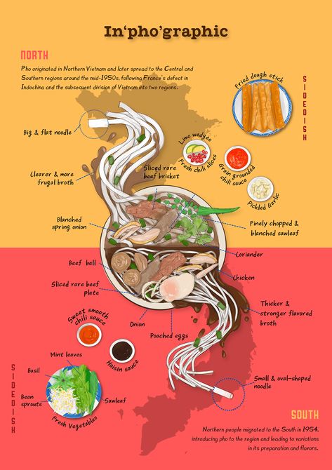 In'pho'graphic :: Behance Food Infographic Poster, Food Infographic Illustration, Recipe Poster Design, Pho Illustration, Illustrative Infographic, Infographic Recipe, Process Visualization, Food Infographic Design, Recipe Infographic