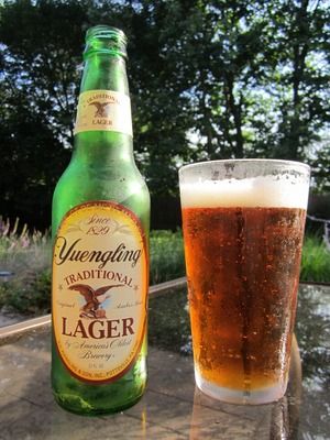 Yuengling Beer, Types Of Beer, Beer Quotes, Beers Of The World, Pittsburgh City, American Beer, Beer Time, All Beer, Beer Cans