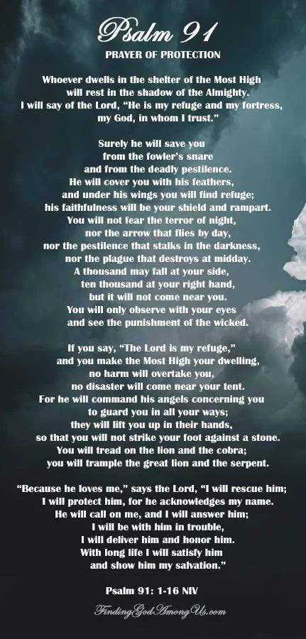 Psalm 91 Meaning for Divine Protection for Your Life - Finding God Among Us Psalms 91 Declaration, Praying Psalm 91, Psalm 91 Prayer Of Protection, 91 Psalm, Psalm Magic, Stoic Man, St Benedict Prayer, Psalm 91:1-4, Christian Witch