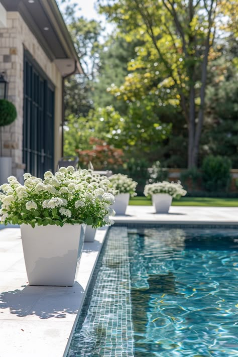 13 Stylish Pool Deck Decorating Ideas For A Chic Outdoor Space - DreamyHomeStyle Fenced In Pool Ideas, Pool Deck Decorating Ideas Potted Plants, Black White Pool Decor, Pot Plants Around Pool Area, White Concrete Pool Deck, Florida Pool Patio Ideas, Pool Seating Ideas, Pool Patio Decorating Ideas, Pool Landscaping Pots & Planters