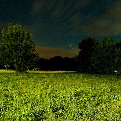 Grass At Night, Field At Night, Night Grass Field, Field At Night Painting, Flower Field Night, Tall Grass Field Aesthetic, Backyard Night, Grass Field Liminal Space, Clover Field