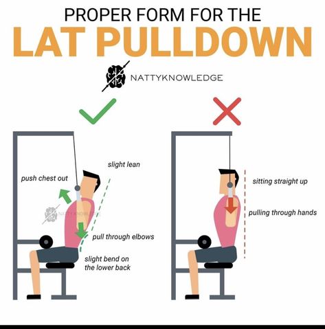 Lateral Pull Down, Back Workout Program, Lat Pulldown, Nutrition Sportive, Gym Tips, Weight Training Workouts, Post Partum Workout, Back And Biceps, People Sitting