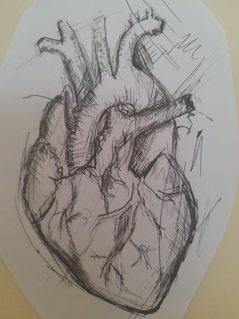 Realistic Heart Drawing Tutorial, Heart Drawing Realistic Sketch, Heart Art Sketch, Human Heart Sketch Aesthetic, Real Life Heart Drawing, Love Art Ideas Drawing, Human Art Sketches, Love Meaning Drawings, Art Sketches Heart