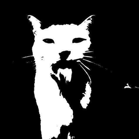 Timmy Turner, Graphic Poster Art, Black And White Posters, Black And White Aesthetic, App Icon Design, Silly Cats, Phone Themes, Art Reference Photos, Graphic Poster