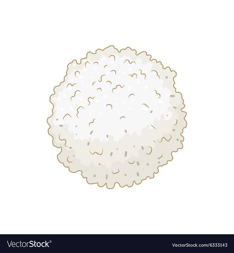 White Blood Cells Drawing, Human Cell Structure, Blood Illustration, Human Cell, White Blood Cell, Med Vet, Physical Examination, White Blood, Cell Structure