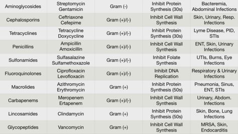 Basic Antibiotic Summary Cheat Sheet by hmalcolm - Download free from Cheatography - Cheatography.com: Cheat Sheets For Every Occasion Antibiotic Cheat Sheet For Np, Nursing Antibiotic Cheat Sheet, Antibiotics Cheat Sheet, Antibiotics Nursing, Fort Ideas, Study Things, Gram Negative Bacteria, Science Board, Science Boards