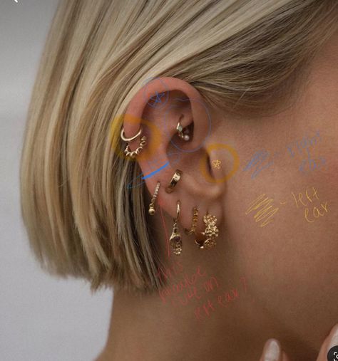 Ear Piercing Curation Gold, Ear Piercings Placement Chart Zohreh V. Jewellery, Rose Gold Curated Ear, Piercing Curation, Cute Ear Piercings Combinations Inclidimg Daith, Ear Piercings Placement Chart, Oracle Piercing Ear, Ear Curation, Ear Piercings Chart