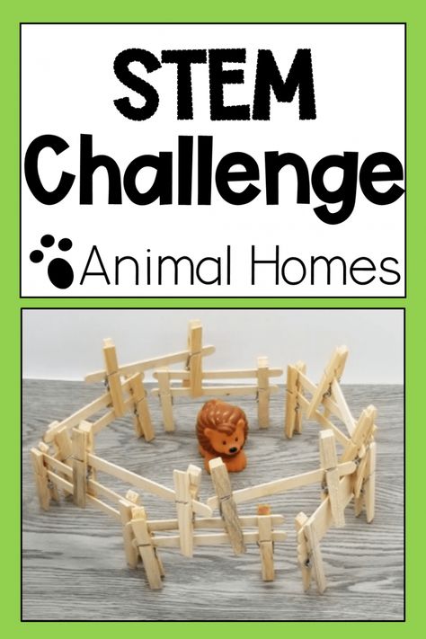 Animal STEM for Kids in Kindergarten and Primary - Building Challenges For Kids, Twos Activities, Challenges For Kids, Farm Week, Stem Activities Kindergarten, Animal Homes, Elementary Stem, Farm Animals Activities, Stem Building