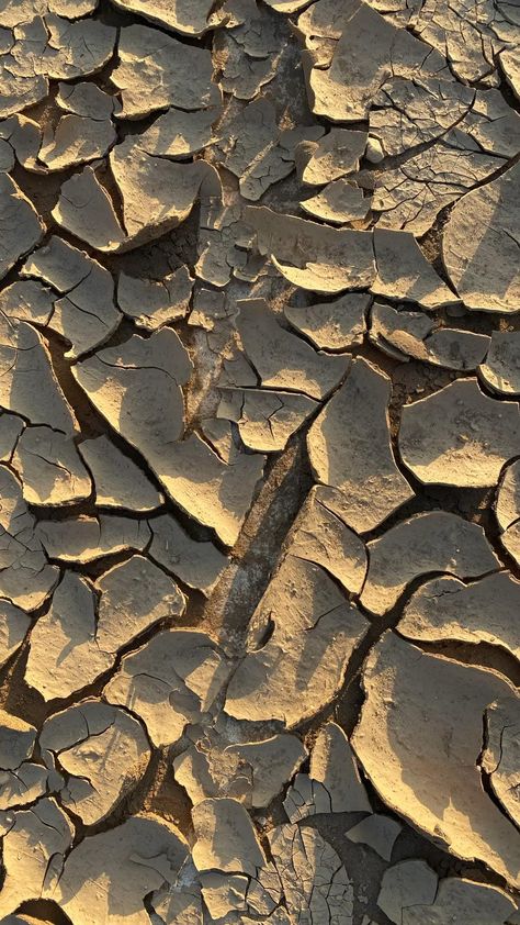 Macro Texture Photography, Patterns In Nature Texture, Organic Patterns In Nature, Bone Texture, Building Texture, Sacred Geometry Meanings, Dirt Texture, Texture Reference, Nature Texture