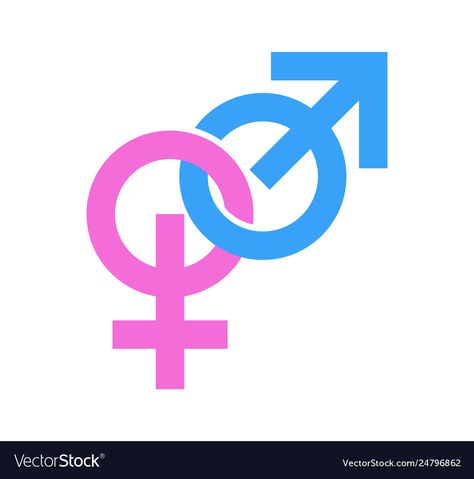 Couple gender signs icons masculine and Royalty Free Vector Gender Signs, Male And Female Signs, Masculine And Feminine, Graduation Project, Love Signs, Single Image, Vector Stock, Transparent Png, Smiley