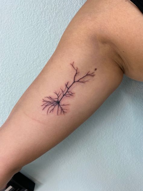 Pyramidal neuron golgi stain Nerve Cell Tattoo, Narcoleptic Tattoo, Neuron Flower Tattoo, Neurology Tattoo Ideas, Brachial Plexus Tattoo, Immunology Tattoo, Neurotransmitter Tattoo, Epileptic Brain Tattoo, Motor Neurone Disease Tattoo