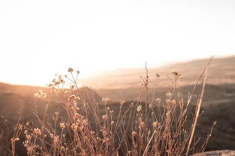 Nature, Aesthetic Brown Landscape, Beige Nature Aesthetic, Brown Aesthetic Horizontal, Cover Photos Facebook Unique Aesthetic, Boho Facebook Cover Photos, Brown Cover Photo, Hd Wallpaper Landscape, Cover Photos Facebook Unique