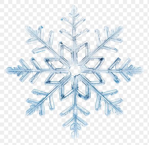 Snowflake Png, Alumni Reunion, Snow Png, Snowflake Snowflake, Snowflake Images, Snowflake Sticker, Bobbie Goods, Snow Images, Winter Png