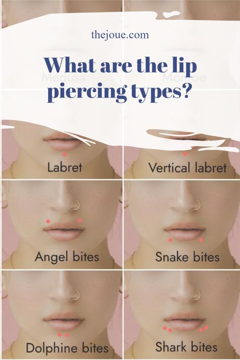 In this article, we will cover everything you need to know about lip piercing, including all 16 classy lip piercing types, pain, costs, cleaning and caring, materials and shopping tips for lip piercing jewelry, and so on. Lip Rings Piercing, Middle Lip Piercing Ring, Middle Lip Ring, Lip Piercing Names, Bottom Lip Piercing, Lip Ring Piercing, Canine Bites Piercing, Bite Lip, Piercing Types