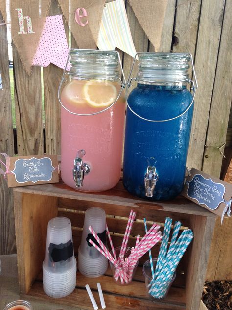 Gender Reveal Inspiration! www.dreamsindetail.com IG: @DREAMSINDETAIL_ Dreams In Detail travels worldwide to plan and design events. Contact 310-432-3290 or nicole@dreamsindetail.com #genderreveal #baby #ideas #surprise #decorations #themes #lemonade #blue #pink #inspiration #events #eventplanner Foto Gender Reveal, Gender Reveal Party Food, Simple Gender Reveal, Gender Reveal Baby Shower Themes, Creative Gender Reveals, Reveal Party Games, Baby Gender Reveal Party Decorations, Pregnancy Gender, Gender Reveal Party Games