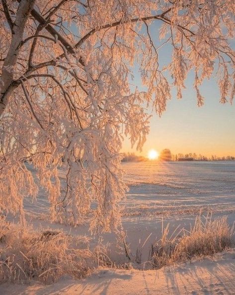 Morning Sunrise, Winter Photos, Winter Scenery, Winter Pictures, Winter Aesthetic, Winter Scenes, Winter Time, Amazing Nature, Pretty Pictures