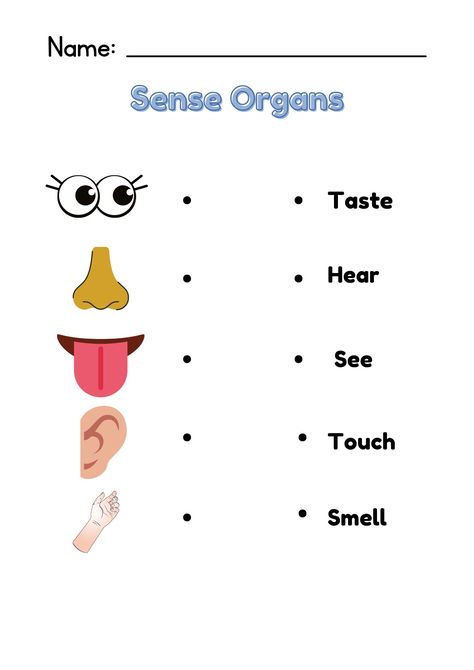 Sense Organs worksheets Activity Sheets For Preschoolers, Sense Organs, Cvc Words Kindergarten, Guided Reading Kindergarten, Kindergarten Reading Activities, Kindergarten Reading, Summer Activities For Kids, Cvc Words, Montessori Activities