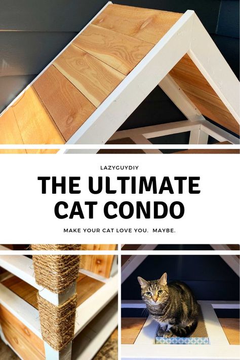 Make your cat love you.  Build them this ultimate DIY Cat Condo that will surely earn their affection.  With built in hiding spaces, scratching posts, scratch pads and litter box storage your feline friends will never leave this kitty hangout!  See more on Lazy Guy DIY!   #petprojects #diypets #catcondo Diy Cat Condo, Litter Box Storage, Diy Litter Box, Cat Condos, Furniture Build, Pocket Hole Joinery, Build Projects, Cats Diy Projects, Cat Things