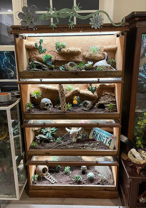 Diy Snake Terrarium, Multiple Reptile Tank Setup, Reptile Rack Ideas, Reptile Enclosure Furniture, Reptile Room Aesthetic, Reptile Room Ideas, Snake Vivarium, Reptile Rack, Reptile Store