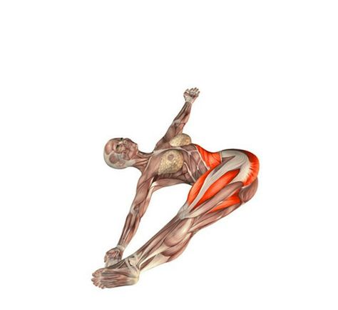 Yoga Muscles, Yoga Series, Muscle Abdominal, Yoga Anatomy, Sup Yoga, Yoga Positions, Yoga Posen, Poses Yoga, Yoga Times