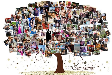 Family Photo Collage – How to Decorate ... Photo Collage Frames, Family Tree Collage, Decorate House, Family Tree Photo, Heart Photo Collage, Family Collage, Family Photo Collages, Walmart Photos, Canvas Collage