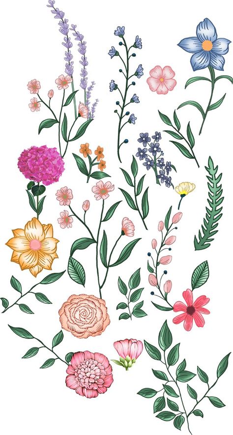 Png Motifs, Flowers Texture, Hd Flowers, Leaf Vector, Botanical Motifs, Botanical Flower Art, Png Flower, Print Design Art, Flower Texture