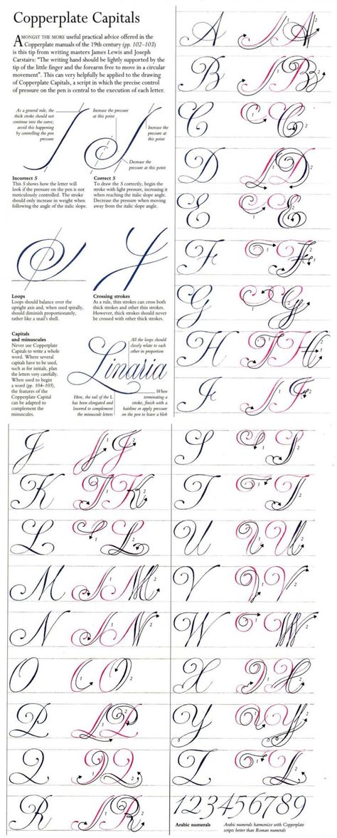 Copperlate Capitals | Hand lettering alphabet, Hand lettering, Hand lettering fonts Tato Mandala, Fancy Cursive, Alfabet Font, Calligraphy Fonts Alphabet, Fancy Writing, Lettering Styles Alphabet, Calligraphy Tutorial, Copperplate Calligraphy, Calligraphy For Beginners