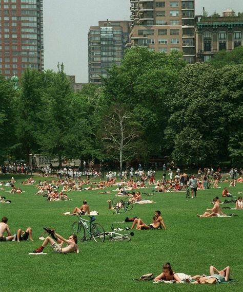 Vintage Central Park, Places To Take Pictures In Nyc, New York City Summer Aesthetic, City Park Aesthetic, Mew York City, Dream Future Life, Central Park Summer, Central Park Aesthetic, New York City Life