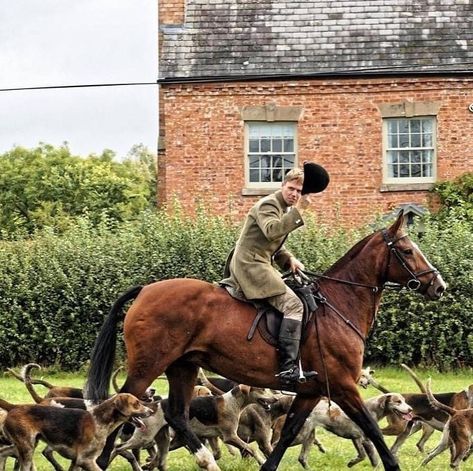 The Hunting Notice Board.com©️ on Instagram: “WANTED - STUD GROOM - THE WORCESTERSHIRE HUNT The Worcestershire Hunt are looking for a new Stud Groom to join their friendly team for the…” Fox Hunting Aesthetic, Aristocracy Aesthetic, British Hunting, Grooming Horse, Winter Moodboard, British Village, British Country Style, Hunting Pictures, Horse Country