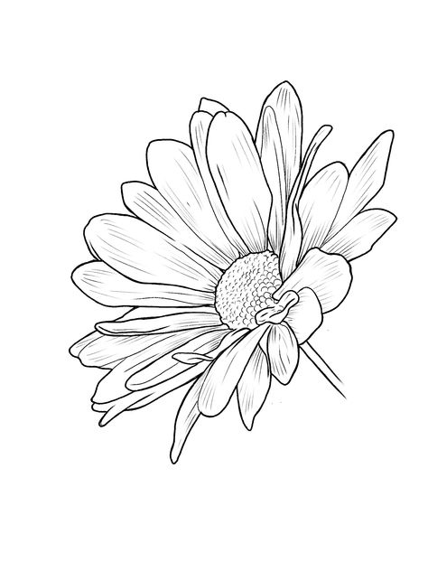 Drawing Of Chrysanthemum, Chrysanthemum Drawing Simple, Chrysanthemum Sketch, Chrysanthemum Drawing, Printable Drawings, Farm Logos, Floral Sketches, Doodle Art Flowers, City Flowers