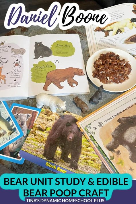 Daniel Boone Explorer Black Bear Unit Study and Fun Edible Bear Poop Daniel Boone Activities, Bear Unit Study, Mammals Activities, Bears Preschool, Ideas For Learning, American History Homeschool, Animal Lessons, North American Animals, Bear Hunt