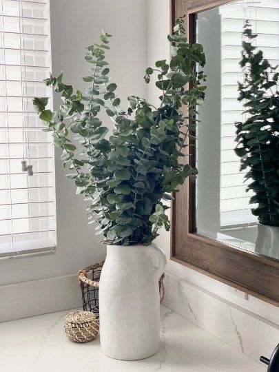 Eucalyptus Plant Indoor, Bathroom Plants No Sunlight, Bathroom Plants Decor, Best Bathroom Plants, Moroccan Riad, Trendy Plants, Fake Plants Decor, Fresh Eucalyptus, Bathroom Plants