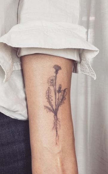 Fine Line Dandelion Flower Tattoo, Dandelion Tattoo With Roots, Dandelion Wine Tattoo, Dandelion And Burdock Tattoo, Dandelion Line Art Tattoo, Delicate Dandelion Tattoo, Flower Tattoo With Roots, Dandelion And Bee Tattoo, 3 Dandelion Tattoo