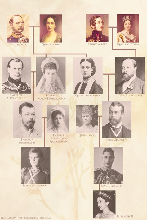 Romanov and Windsor royal family trees Royal Family Tree, Alexei Romanov, Queen Victoria Family, Maria Feodorovna, Royal Family Trees, House Of Romanov, Alexandra Feodorovna, Romanov Dynasty, Tsar Nicholas Ii