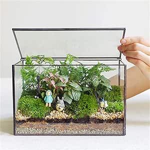 Glass terrarium