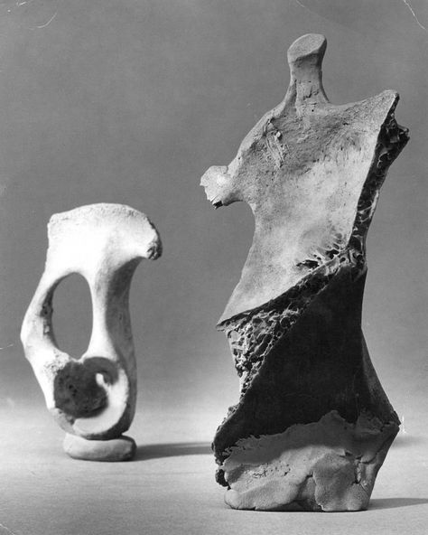 The original bone which inspired 'Large Standing Figure: Knife Edge' Thomas Houseago, Henry Moore Sculptures, Disney 101 Dalmatians, Henry Moore, Tate Gallery, Sculptures Céramiques, 101 Dalmatians, Arte Inspo, Contemporary Sculpture