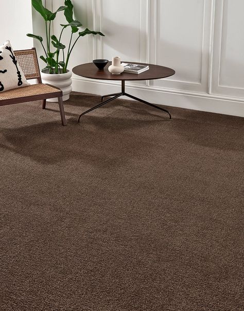 Luxuriously soft and decadently plush underfoot, our Prestige carpet range offers effortless style with enhanced comfort underfoot. Expertly crafted with 100% Polyester, the saxony pile is durable and resistant to staining. The bleach cleanable feature will allow you to have peace of mind all year round. Complete with a hardwearing dual woven backing that is ideal for those high-traffic areas around the home. The Prestige range offers a stunning selection of contemporary colours that will style Light Brown Carpet Living Room, Living Room With Brown Carpet, Brown Carpet Living Room Decor, Dark Brown Carpet Living Room, Carpet To Hardwood Transition, Dark Carpet Bedroom, Dark Carpet Living Room, Prestige Carpet, Brown Carpet Living Room