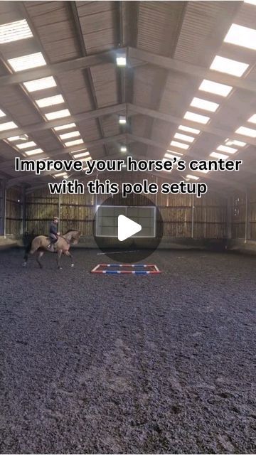 Dan Bizzarro on Instagram: "Easy to set up and super useful exercise to improve your horse's rhythm and straightness.

1 Square of poles can be used for 20+ different exercises. 

Follow me to find out all the different ways you can use this simple pole set up!
.
.
.
.
.
.
.
.
.
.
.
#danbizzarro 
#poleworkout 
#training 
#horsesofinstagram 
#eventing 
#showjumping 
#dressage" Arena Exercises For Horses, Horse Ground Work Exercises, Ground Pole Exercises Horses, Horse Pole Exercises, Flatwork Exercises Horses, Jumping Exercises For Horses, Polework Exercises Horse, Pole Work For Horses, Pole Exercises For Horses