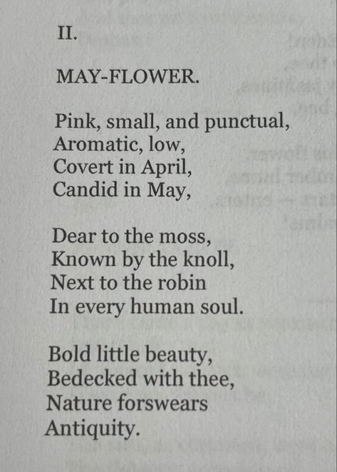 #emilydickinson #dickinson #dickinsonpoem #dickinsonpoetry #dickinsonflowers #flowerpoetry #flowers #botany #poems #poetry 19th Century Love Poems, Poems About Wildflowers, Emily Dickinson Poems To Sue, May Poem, Poems About Flowers, May Poems, Vintage Poems, Flower Poetry, Flower Poem