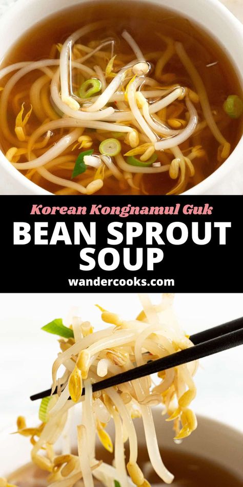 Try this amazing bean sprout soup alongside your favourite Korean recipes. Kongnamul Guk is simple and satisfying, and ready in less than 10 minutes! Soup With Bean Sprouts, Ramen With Bean Sprouts, Soup Light Healthy, Sprout Soup Recipe, Korean Sprouts Recipe, Korean Bean Sprout Soup, Bean Sprout Recipes Korean, Recipes Using Bean Sprouts, Korean Broth Recipes