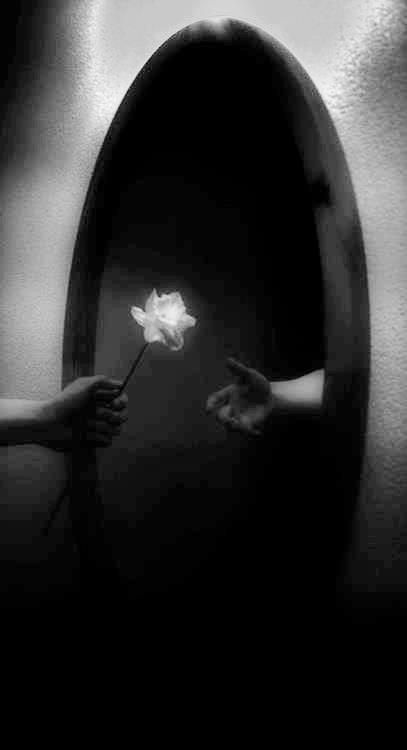 .I give to you my eternal love.. Hand Reaching Through Mirror, Dark Mirror, In The Woods, Mirror Reflection, Dark Photography, Dark Side, Writing Inspiration, Dark Aesthetic, Black And White Photography