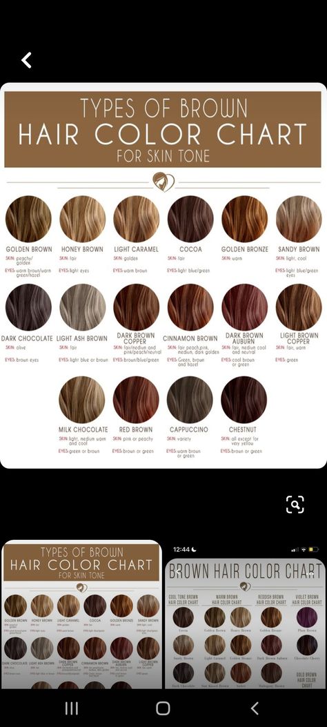 Brown Hair Tones Chart, Hair Colour For Skin Tone Shades, Best Hair Colour For Tanned Skin, Haircolor Ideas For Neutral Skin, Olive Skin Blue Eyes Hair Color, Brown Hair Cool Undertones, Hair For Light Olive Skin Tone, Brown Hair Colors For Green Eyes, Neutral Cool Skin Tone Hair Colors