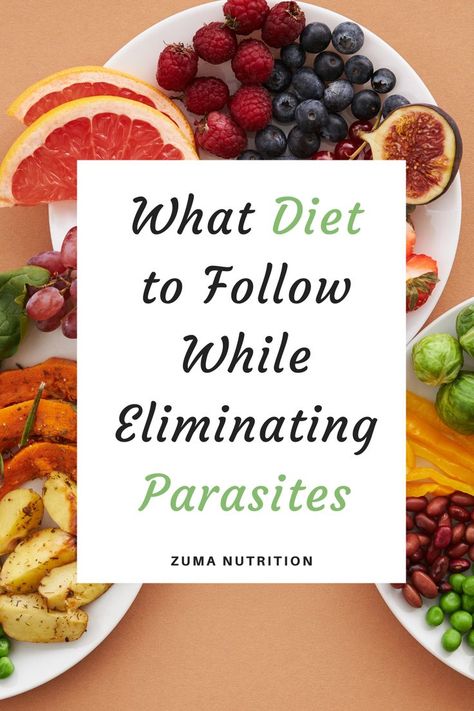 eliminate parasites through diet What To Eat While Doing A Parasite Cleanse, All Natural Parasite Cleanse, What To Eat On A Parasite Cleanse, Foods To Eat During Parasite Cleanse, What To Eat During Parasite Cleanse, Parasite Cleanse Food List, Parasitic Cleanse Natural, Parasite Cleansing Herbs, Foods To Get Rid Of Parasites